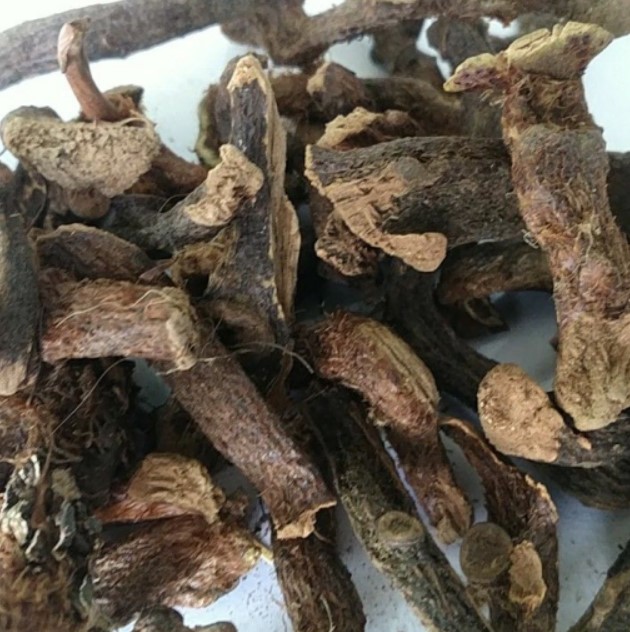 ریشه بسفایج (۵۰گرم)